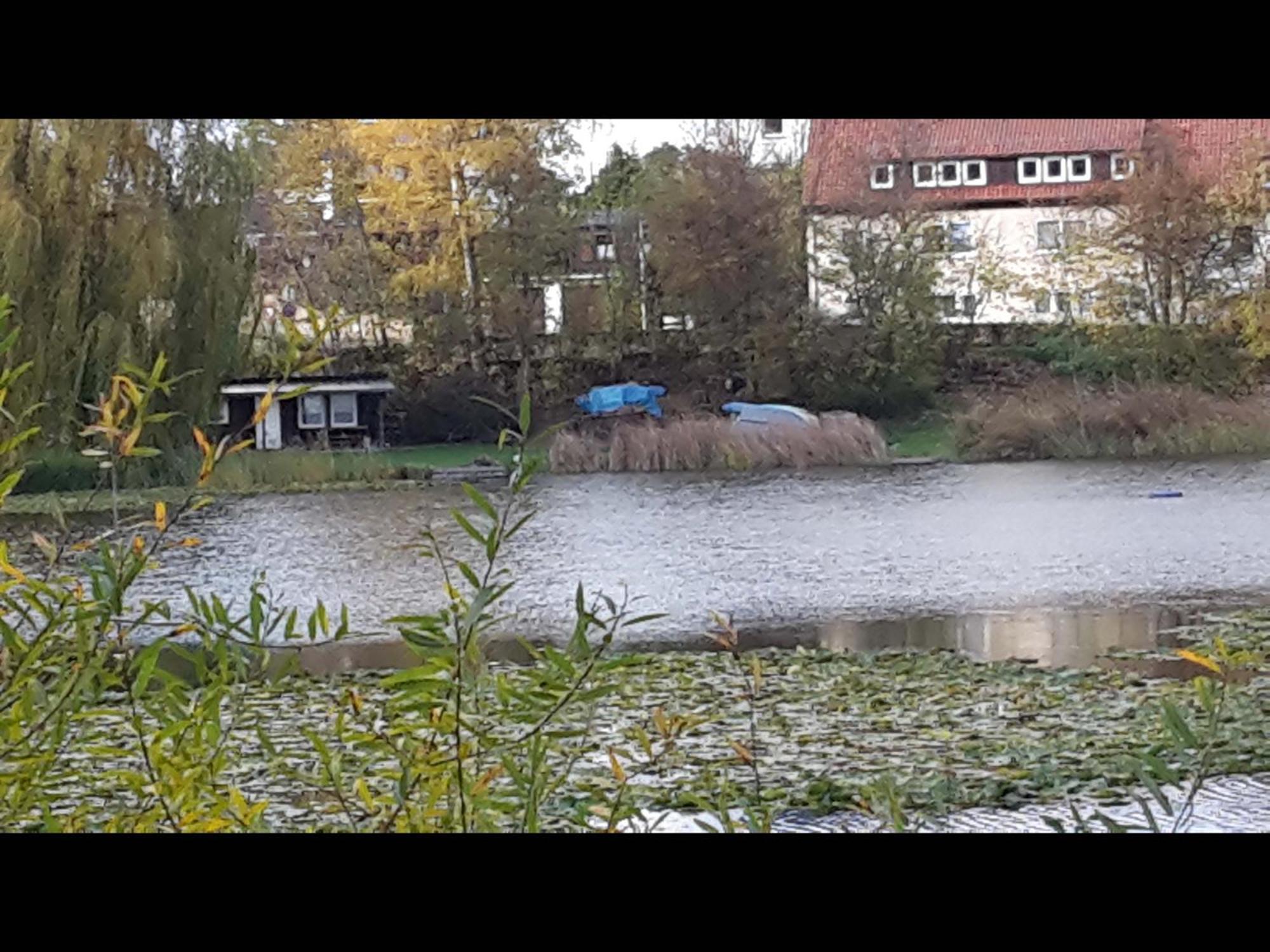 Neu! Ferienwohnung Teichblick In Bad Grund Exterior foto